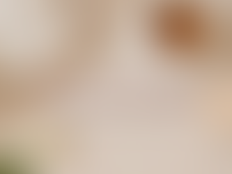 The Soul Reset🕊️