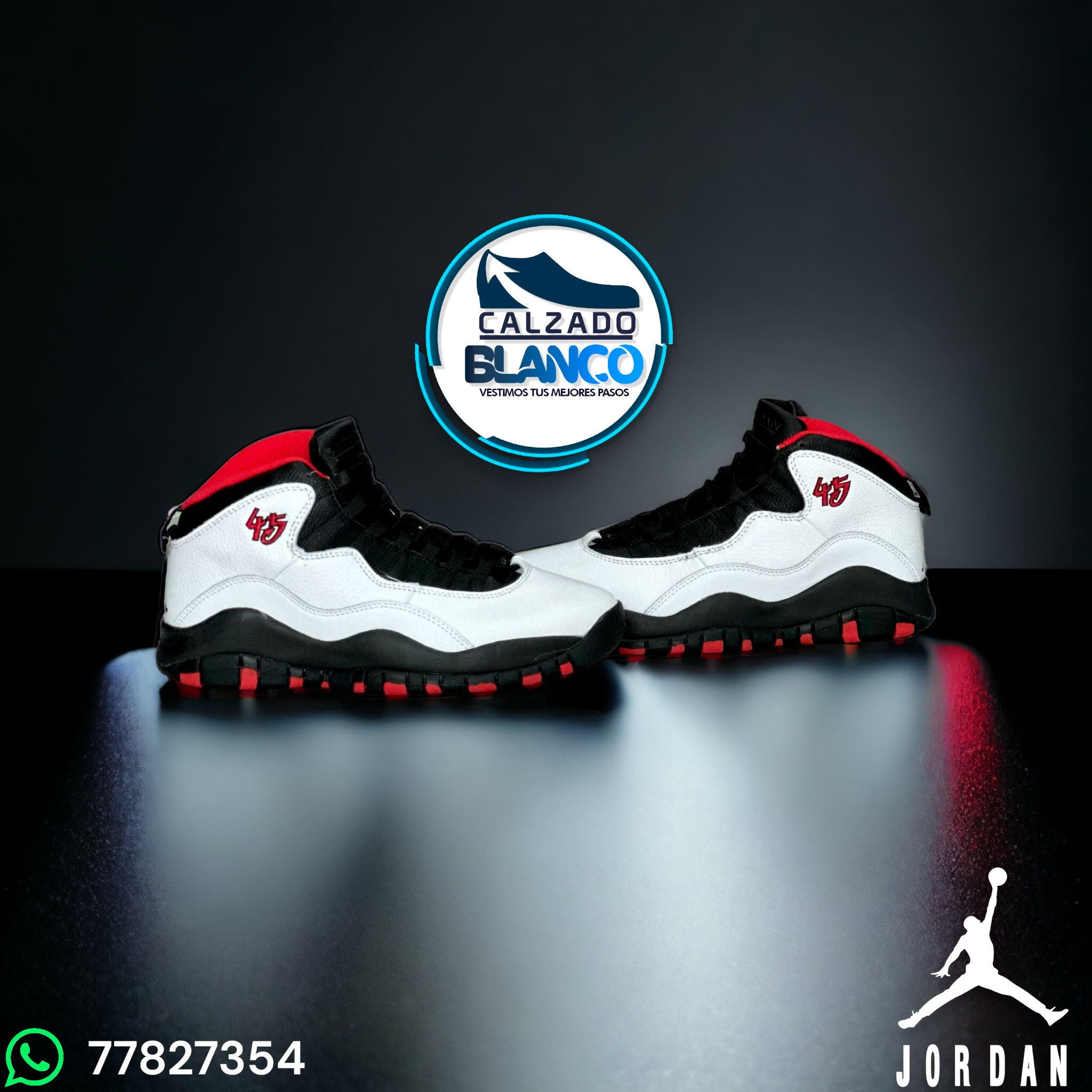 Air Jordan Retro 10