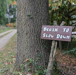 Begin to Slow Down - Hermitage.jpg