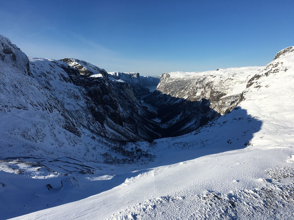 Western Brook Winter