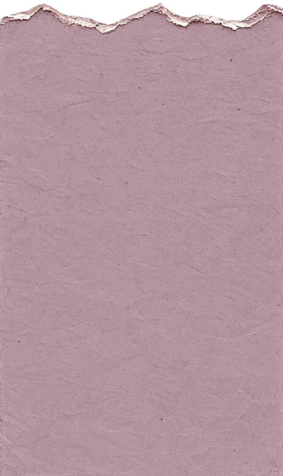 Torn Mauve Paper Overlay_edited.png