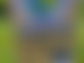 Gartenflohmarkt Leezdorf