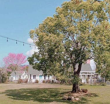 截圖 2025-11-29 16.16.58.png