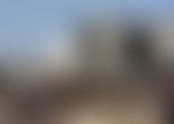 Emisión de boletos aéreos internacionales cayó 55%