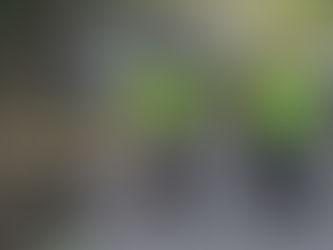 En Miami, el Mes Nacional de la Bicicleta quiere decir desfiles, música y diversión