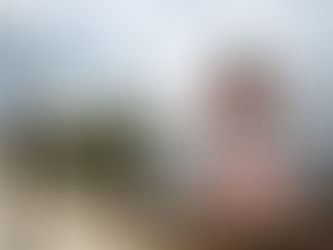 Centro Turístico de Disney en Orlando pone alerta ante Cocodrilos