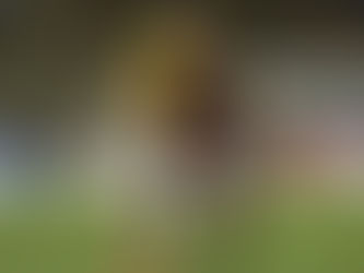 Vinotinto pierde ante Brasil