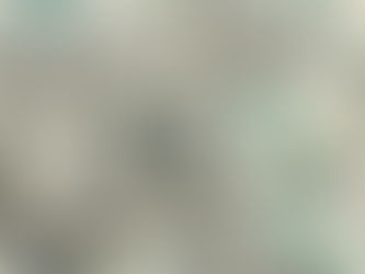 Simadi sube y cierra en Bs. 198,89