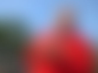 Diputado chavista justifica que el BCV no publique cifras