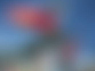 Conozca lo que dijo Trump sobre Venezuela en su discurso