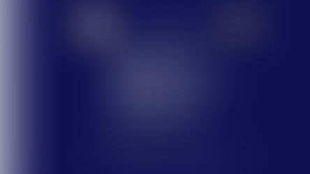 Publication of Volume VIII Issue II