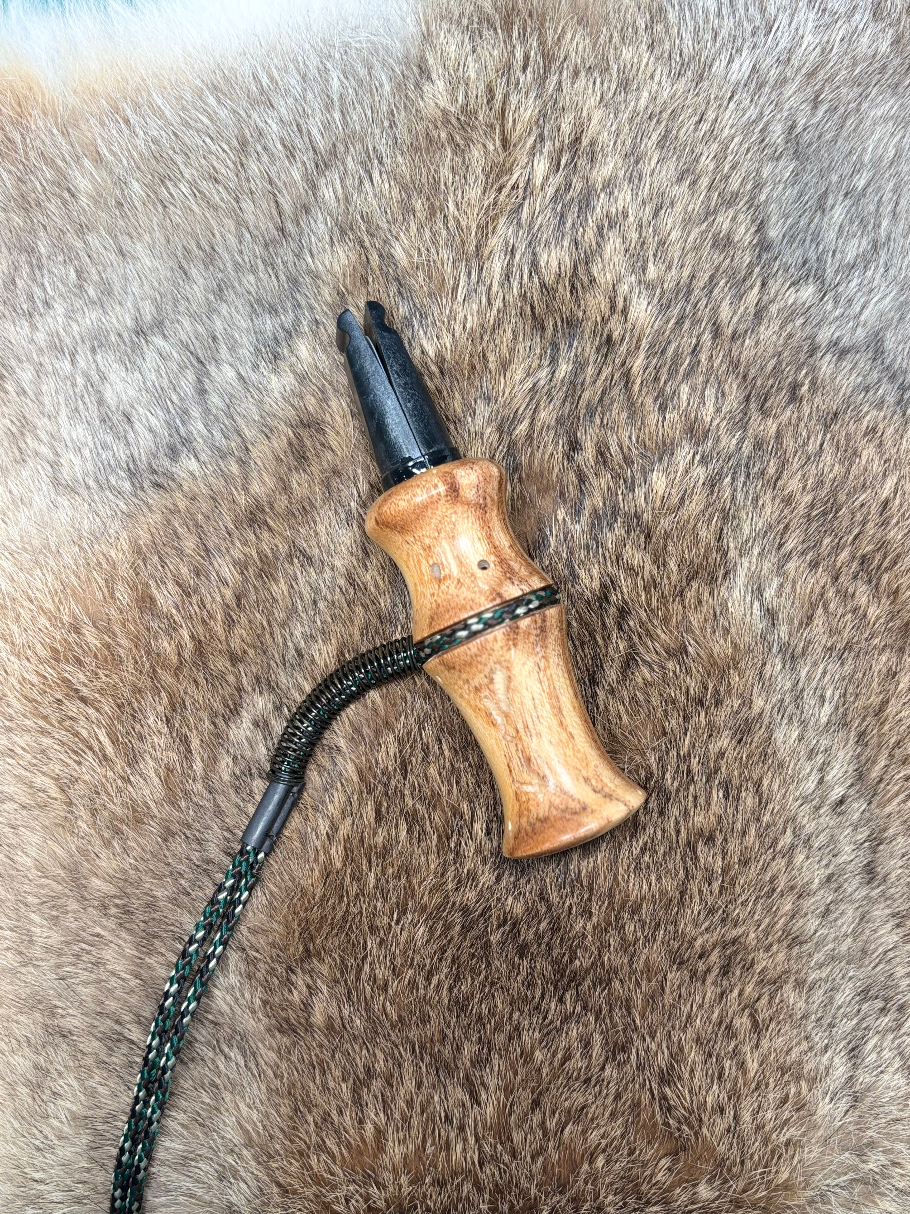 Wormy black locust crow call.