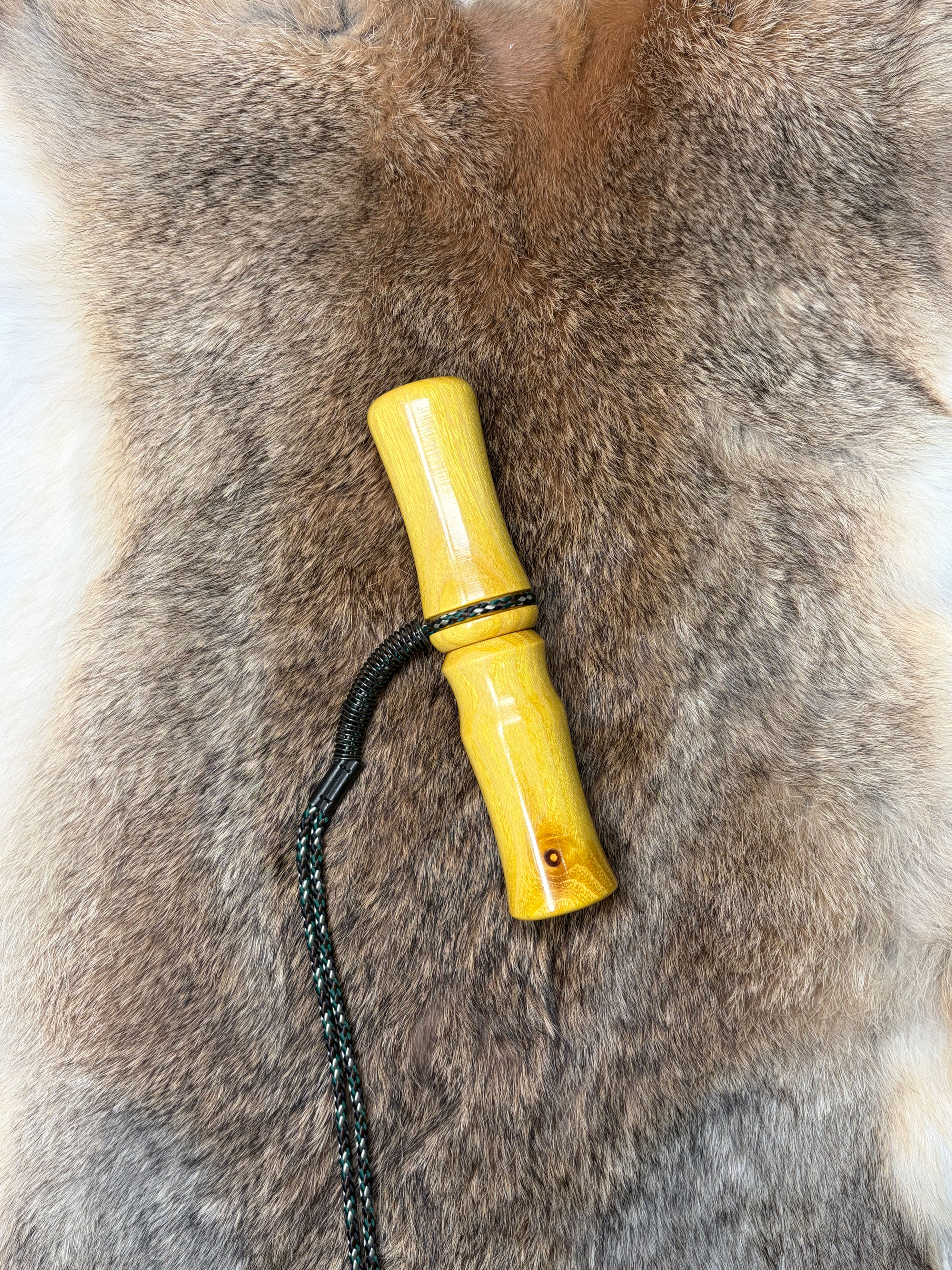 Osage Orange Owl Hooter