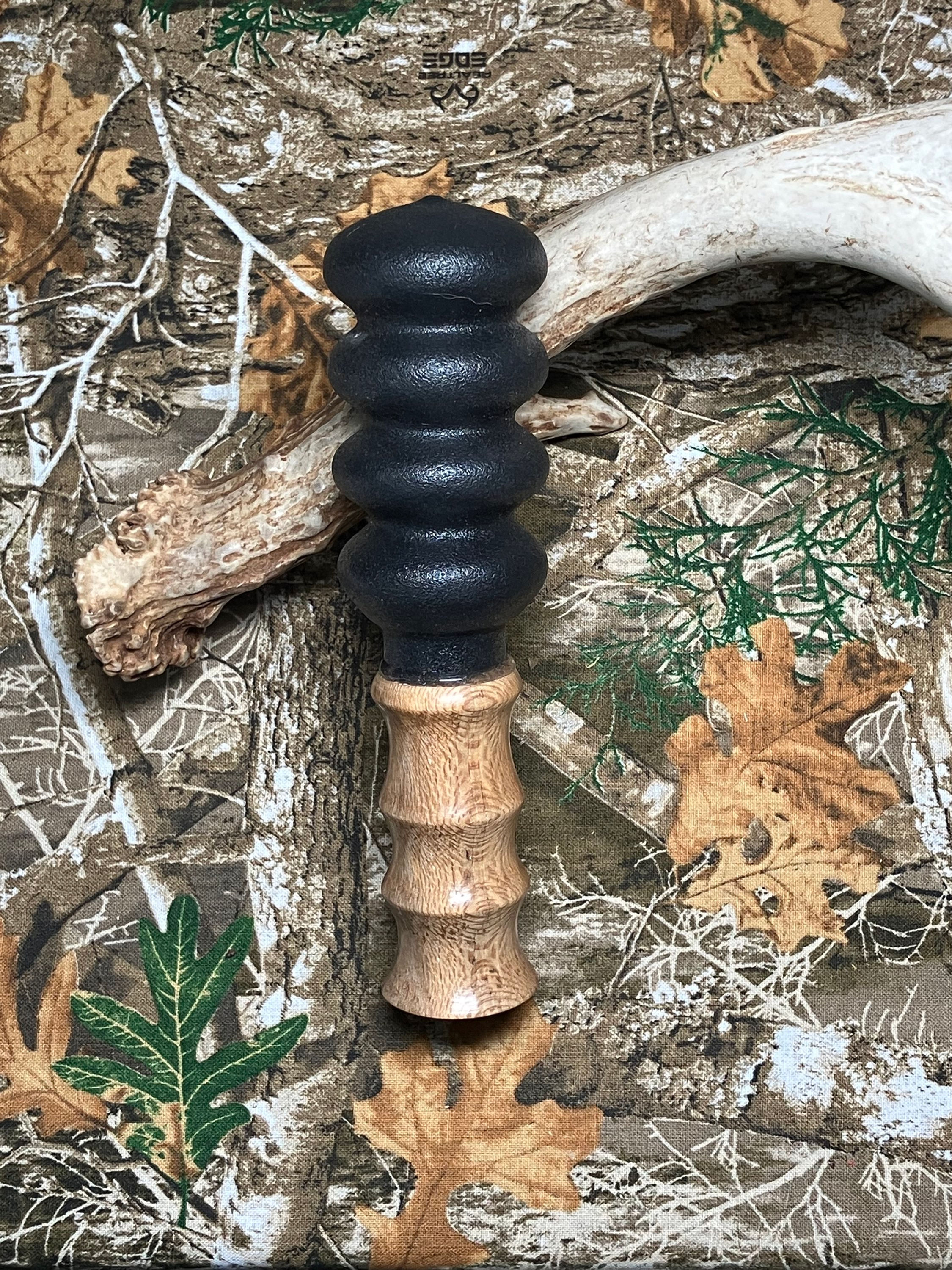 Sycamore Squirrel Call