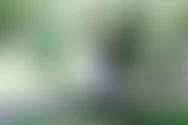 Brautpaarfotos-Hochzeit-Schloss-Bümpliz-Hochzeitspaar-Hochzeitsanzug-Brautstrauss-Brautkleid