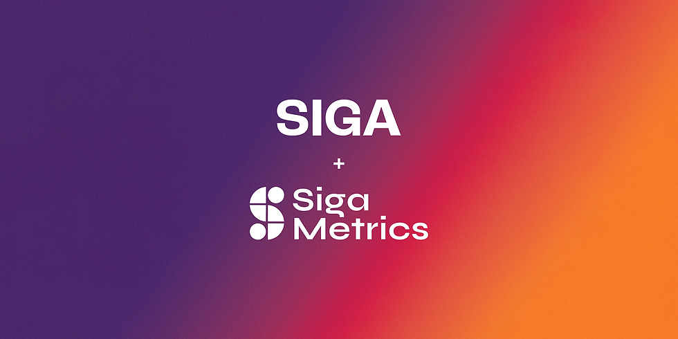 SIGA AGÊNCIA + SIGA METRICS_Página.png