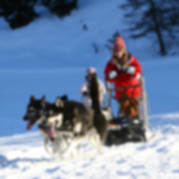 CORSO ALLIEVA/O MUSHER JUNIOR - DAI 7 AI 14 ANNI