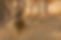 AdobeStock_320366635.jpeg