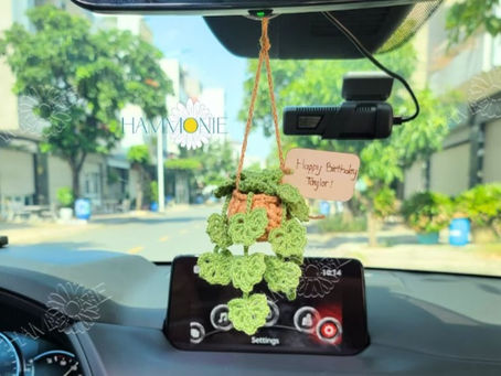 List 10+ Charming Crocheted Car Plant Hanging For Your Vehicle