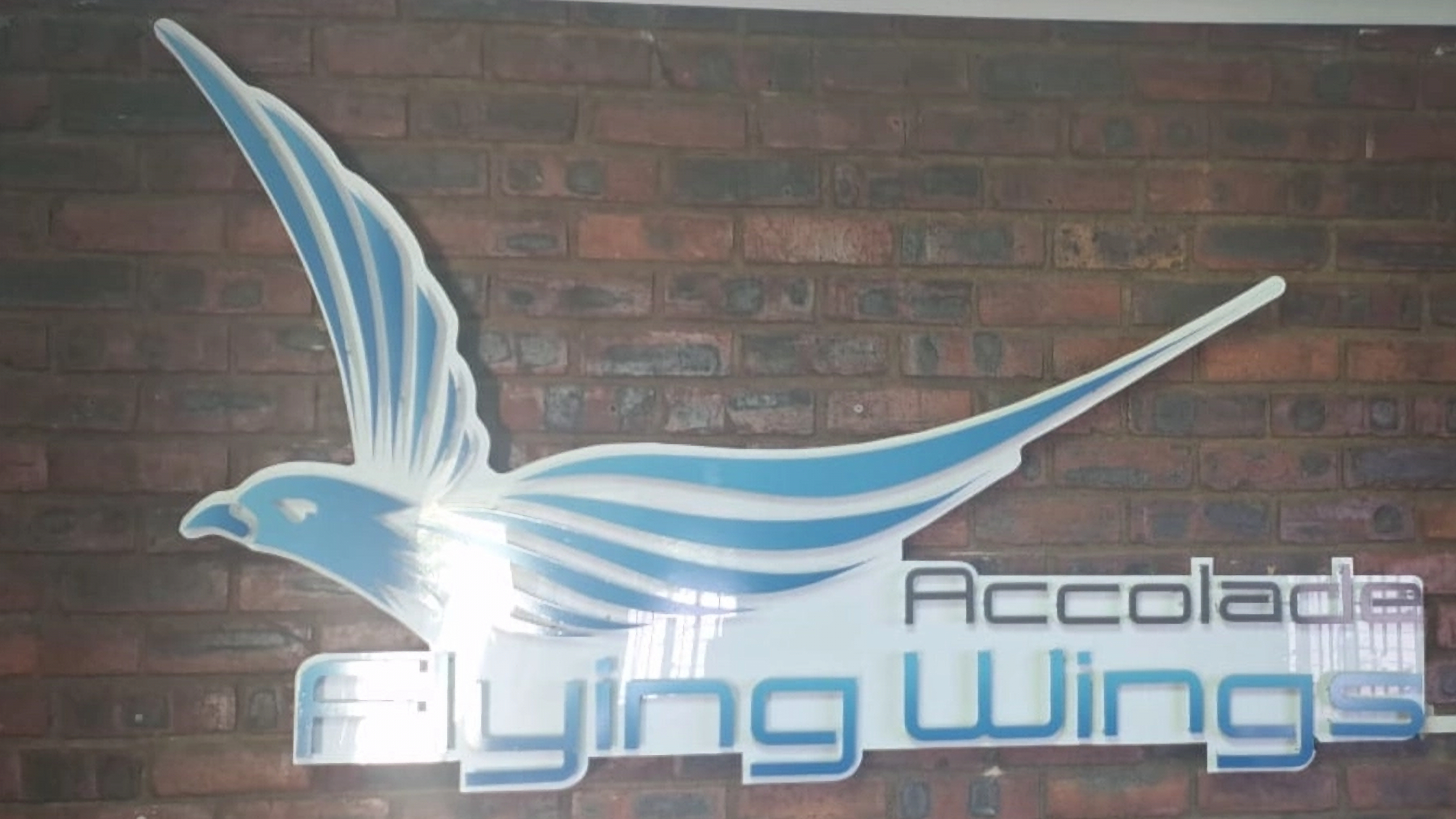 WhatsApp Image 2024-11-21 at 3.33_edited.jpg