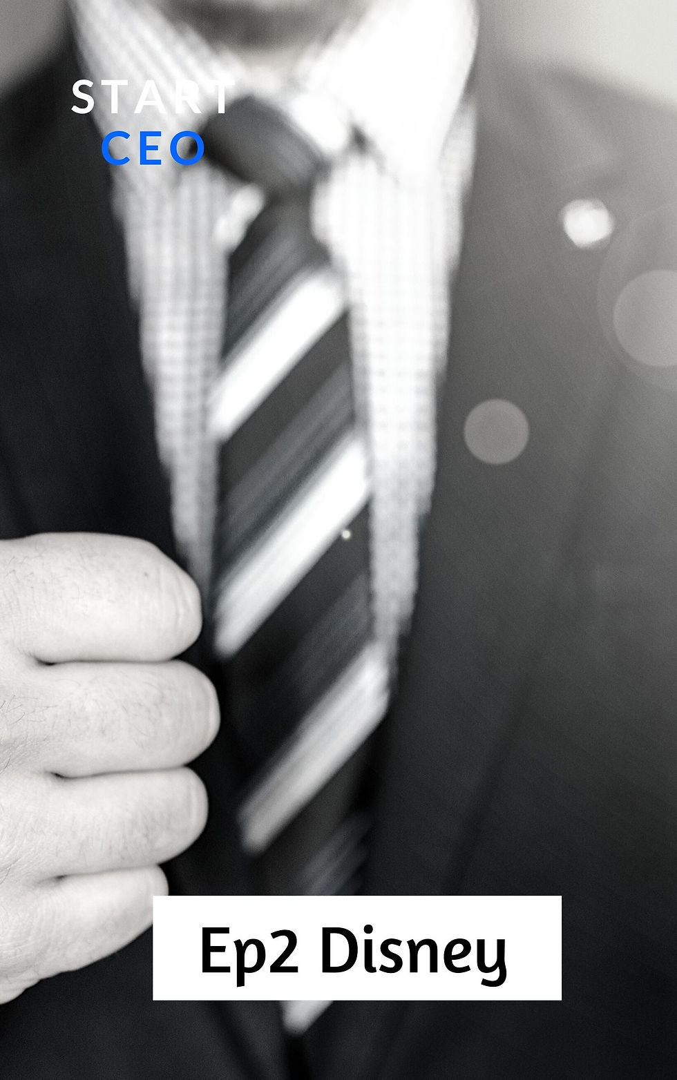 Start CEO ep2 Disney