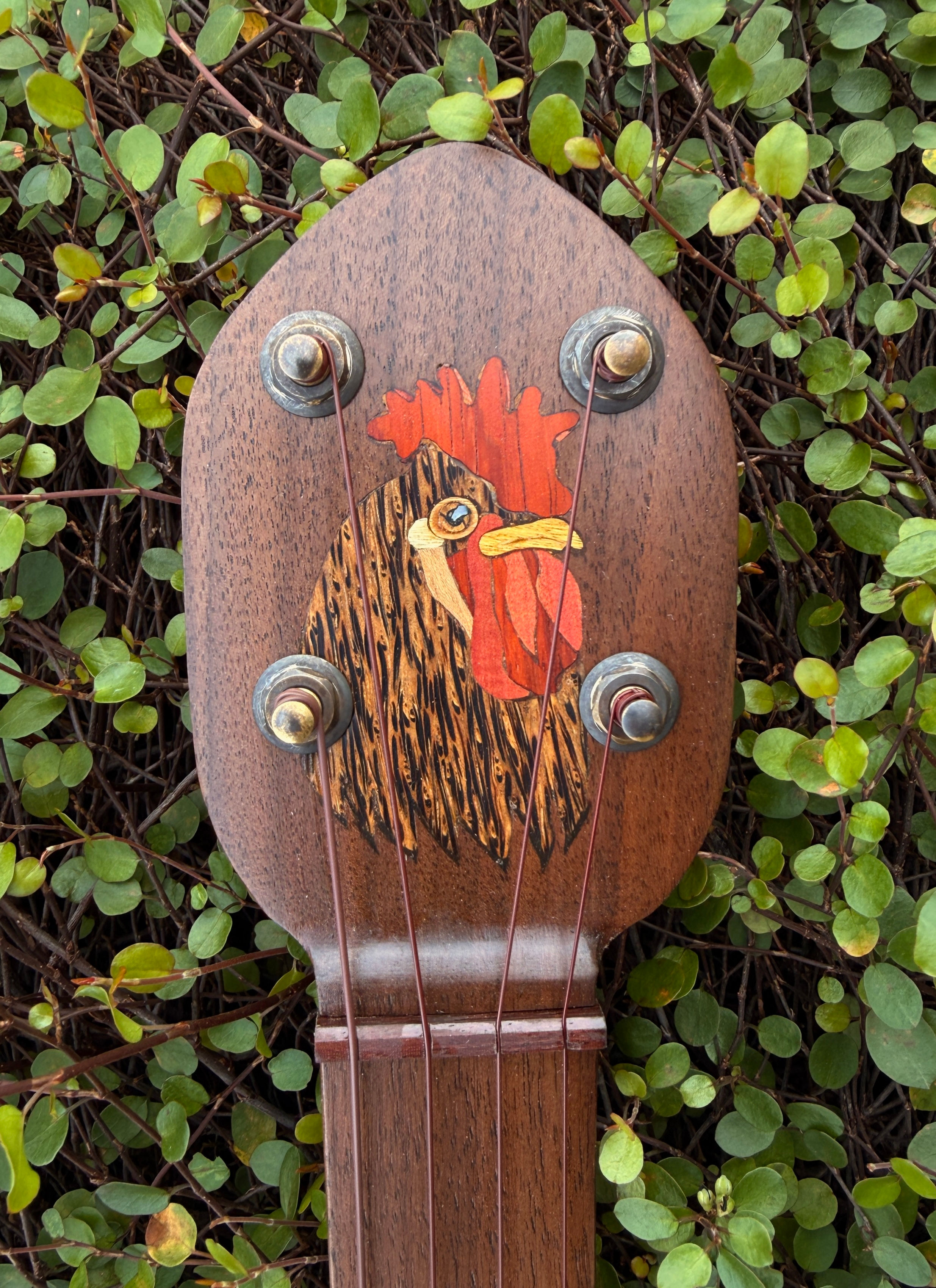 Hen Portrait Number Two