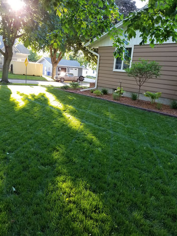 New Seeding 8 Weeks After 4.jpg