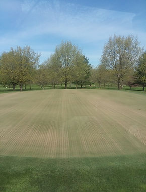 Green Aeration 3.jpeg