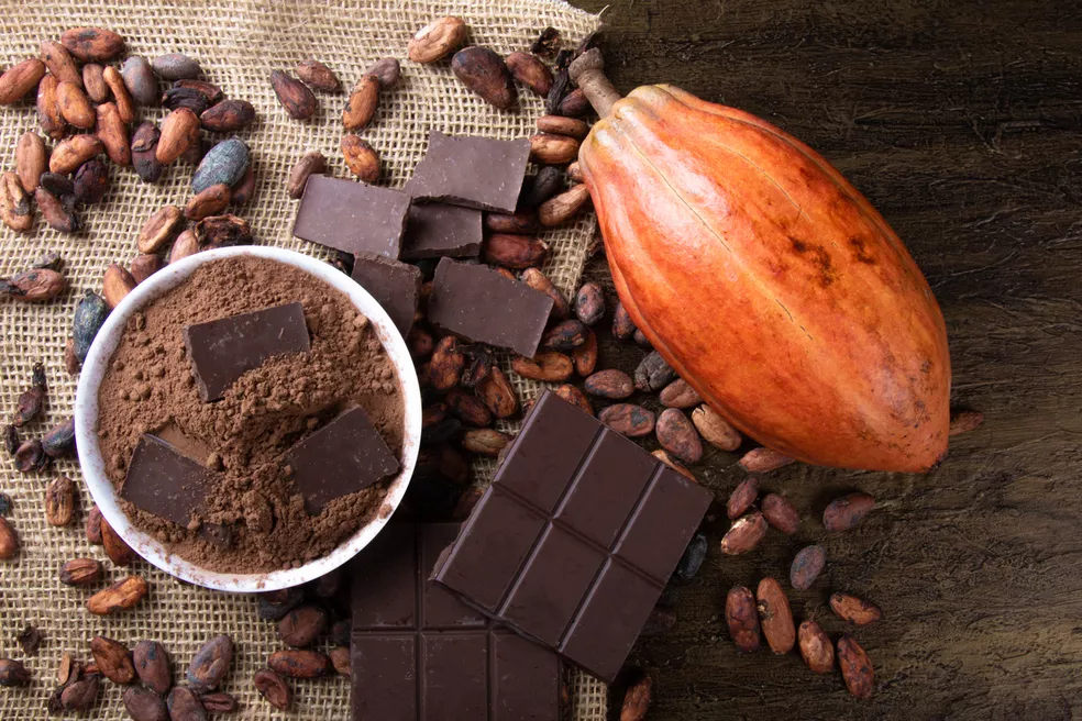 Cacau e chocolate