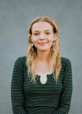 Copy of Veritas Mental Health Group Photo.png