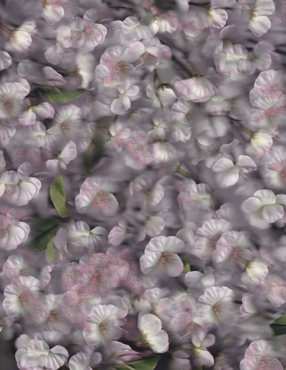 Scanner Project-F (wp).jpg