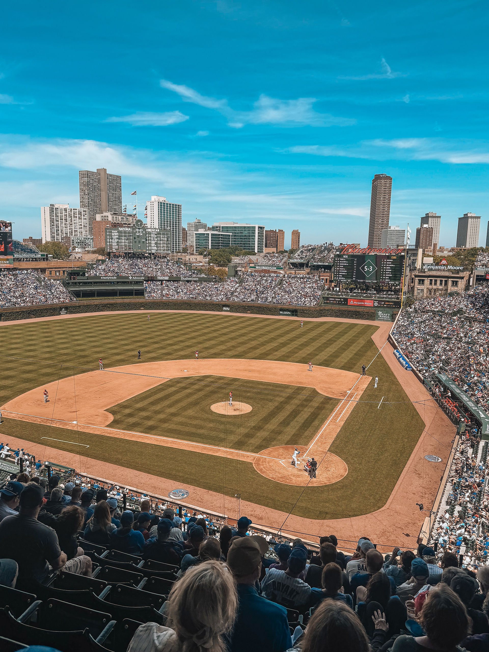 chicago cubs