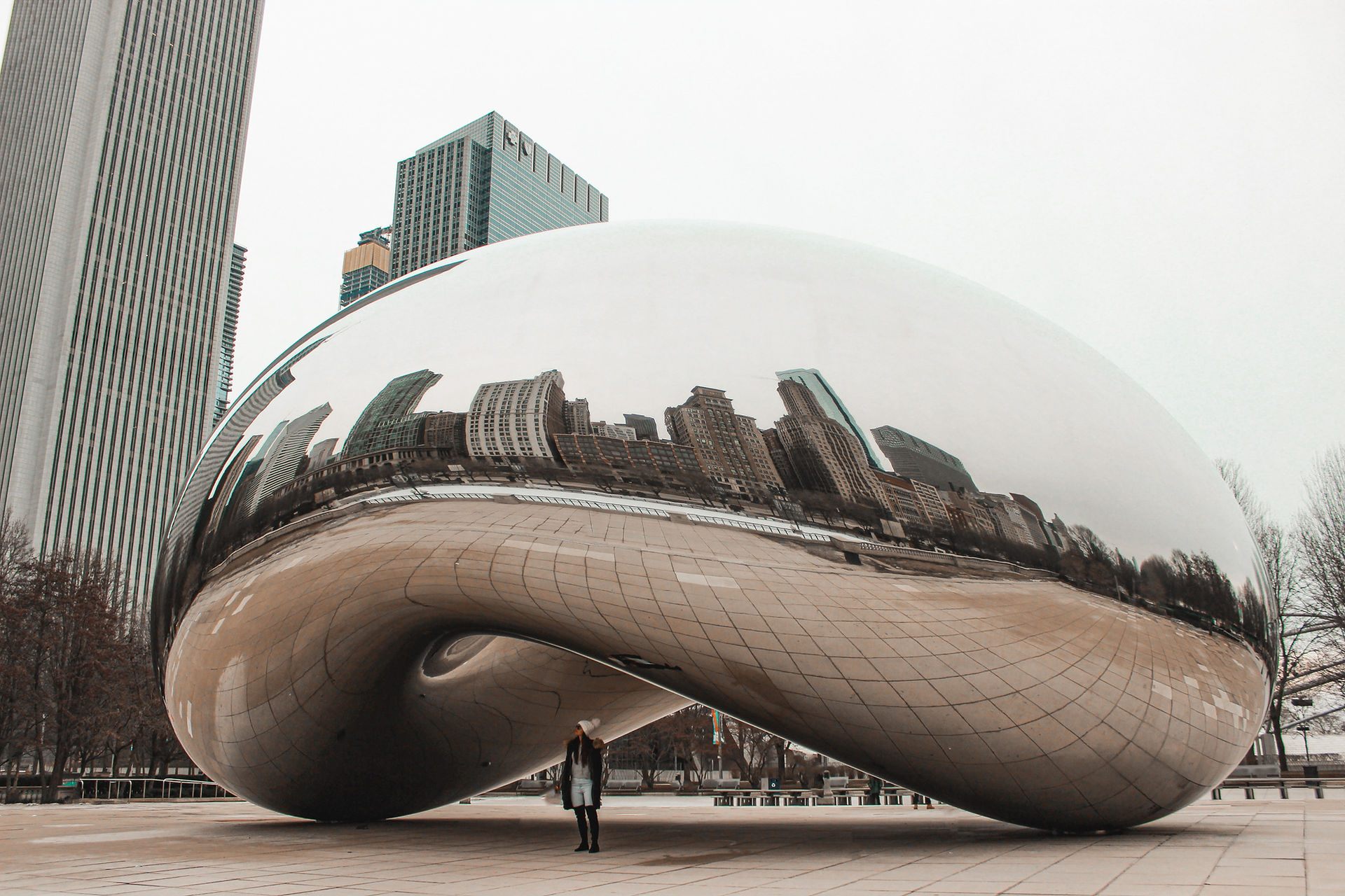 Visiting Chicago. Millennium Park