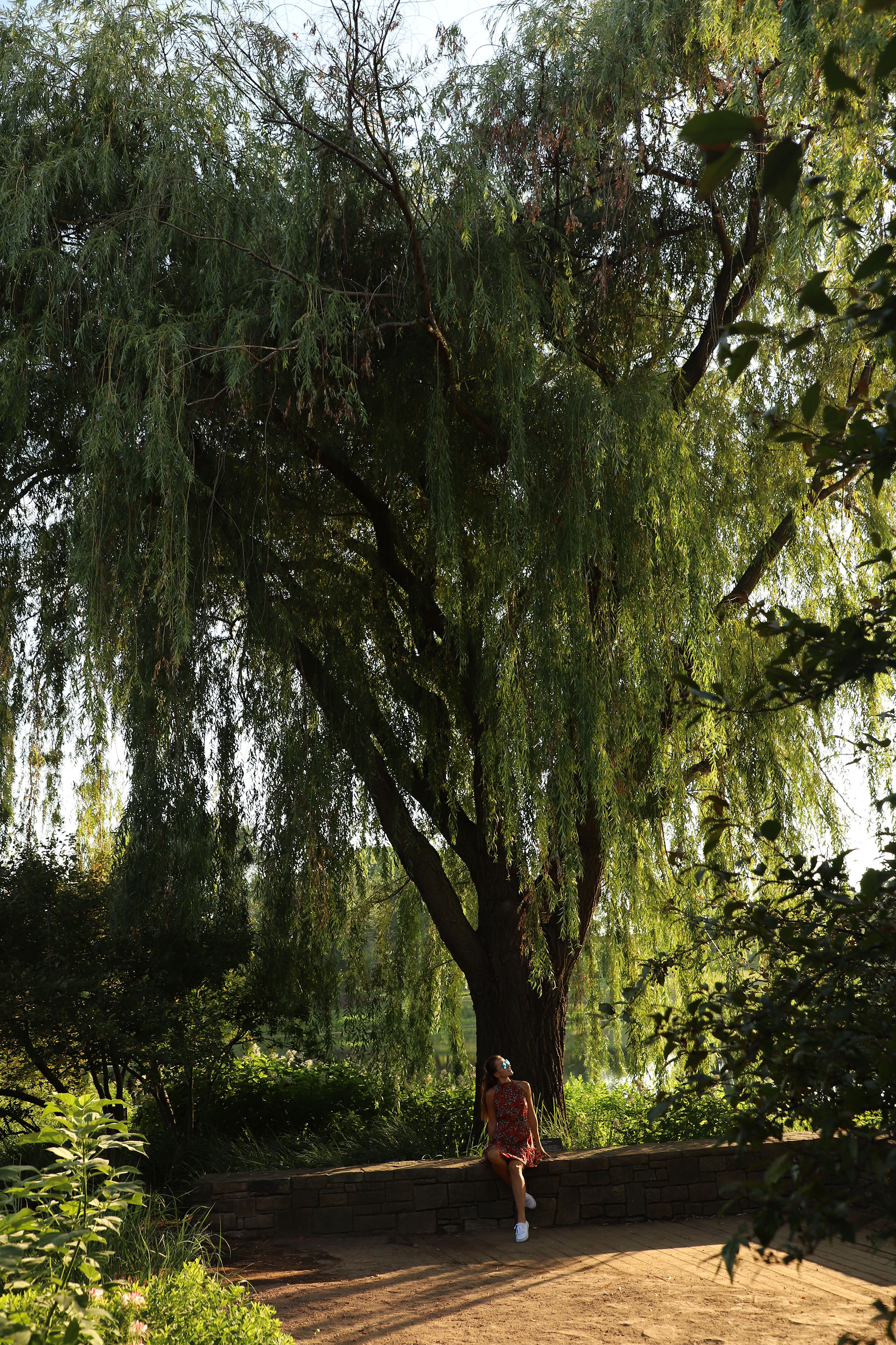 Chicago Botanic Gardens. Visit Chicago