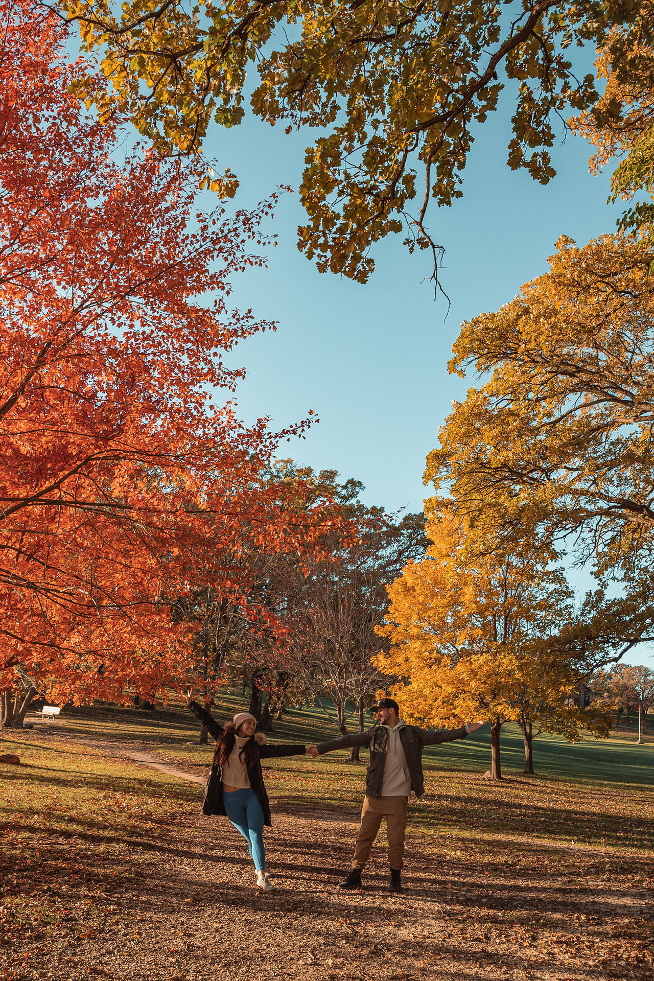 chicago fall