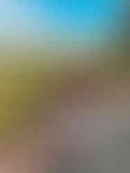 kerrigan brothers winery