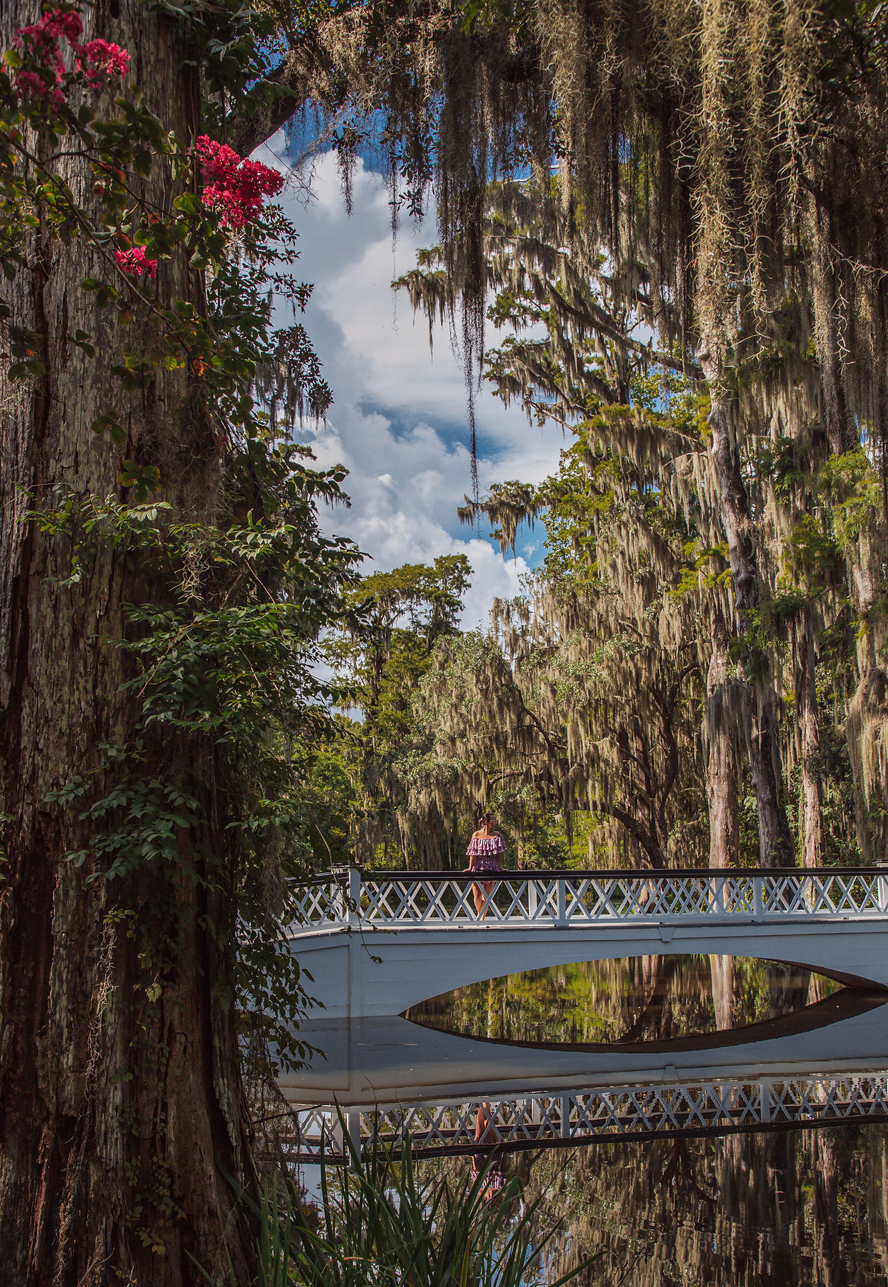 explore charleston SC