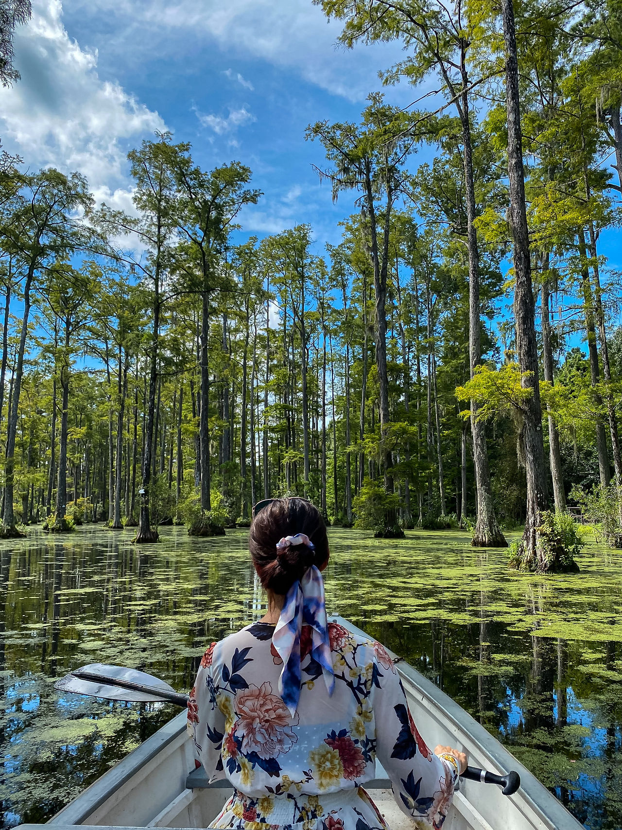 explore charleston SC