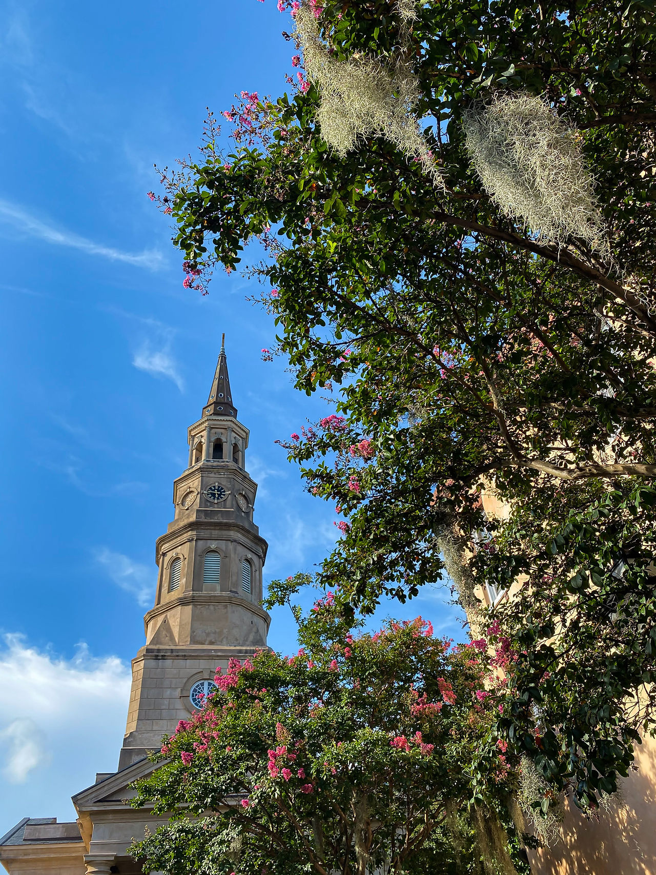 explore charleston SC