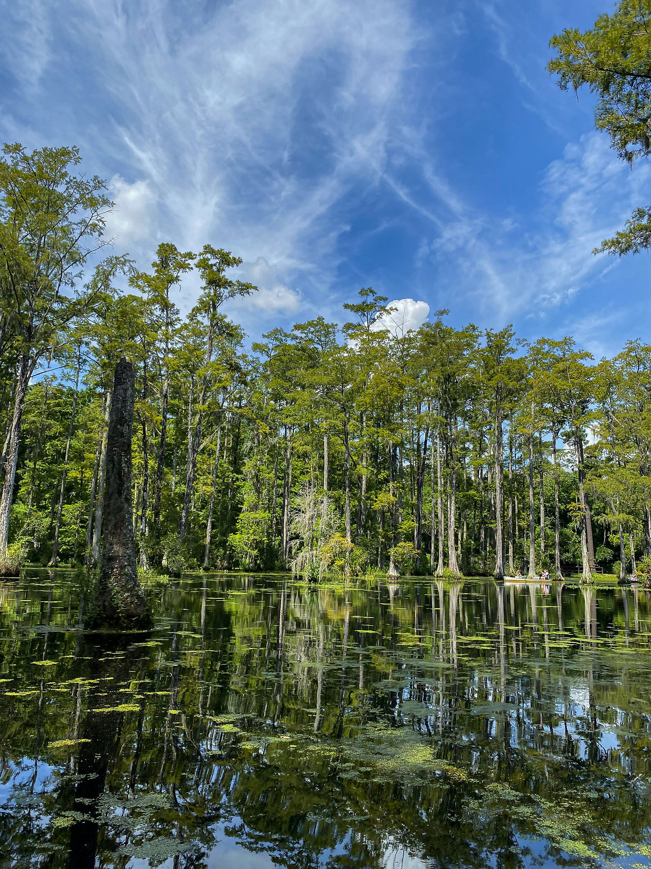 explore charleston SC