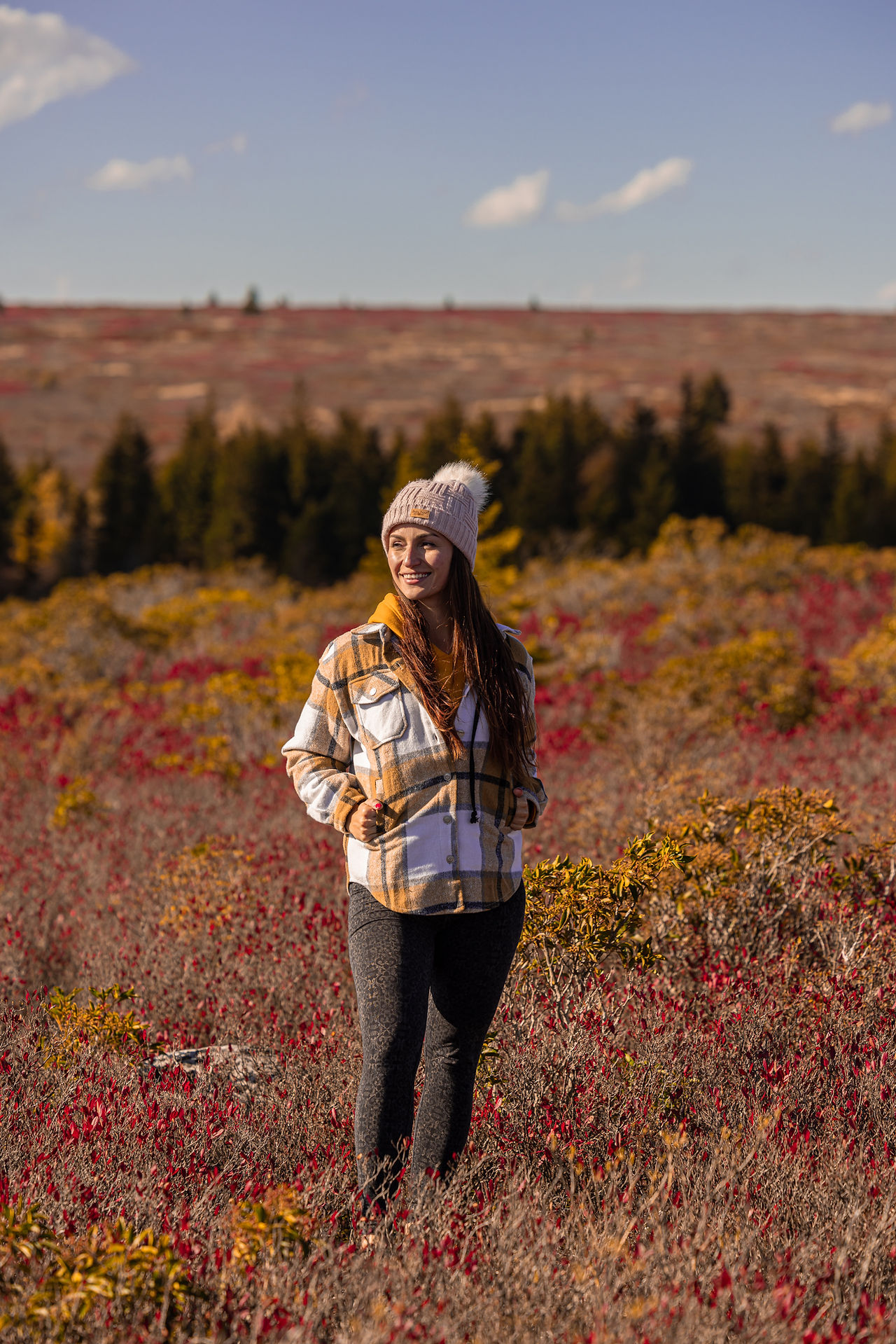 dolly sods