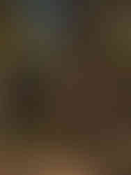 dinosaur gardens alpena