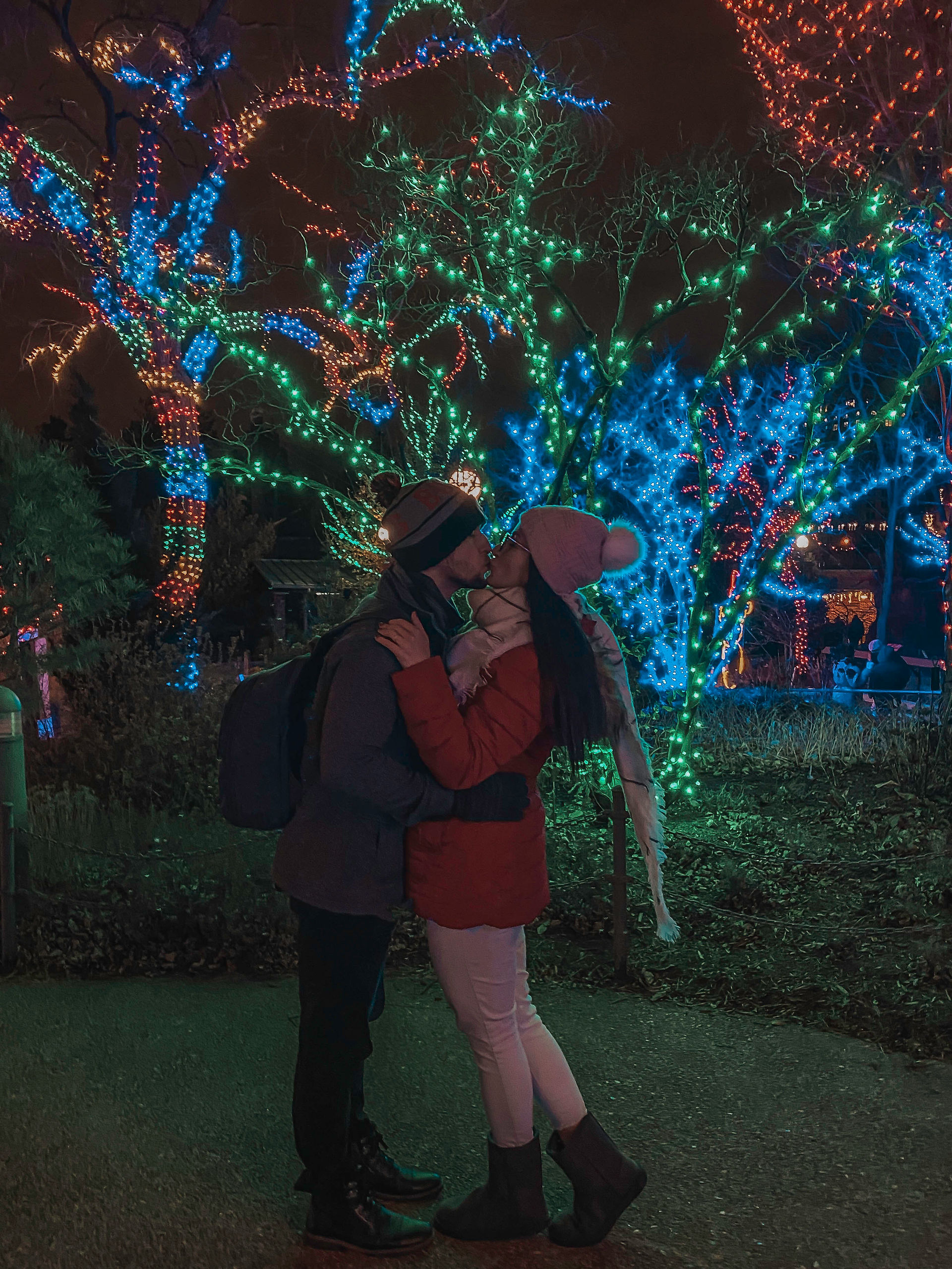 zoo lights