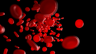 Red cells in the circulation