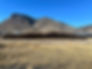 IMG_1147.jpeg