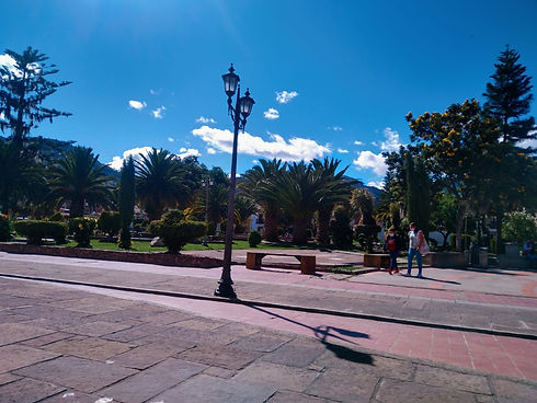 medio ambiente