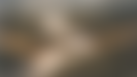 Tambores de guerra en el Amazonas: Parte 2