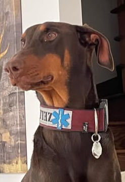 Thumbnail: Collier ''First Responder'' avec croix de vie 2''