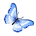 Borboleta azul batendo asas