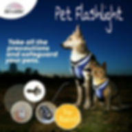 Pet flashlight flier